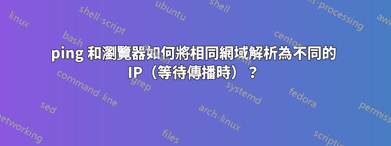 ping 和瀏覽器如何將相同網域解析為不同的 IP（等待傳播時）？