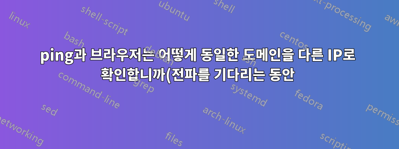 ping과 브라우저는 어떻게 동일한 도메인을 다른 IP로 확인합니까(전파를 기다리는 동안)?