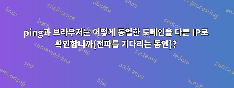 ping과 브라우저는 어떻게 동일한 도메인을 다른 IP로 확인합니까(전파를 기다리는 동안)?