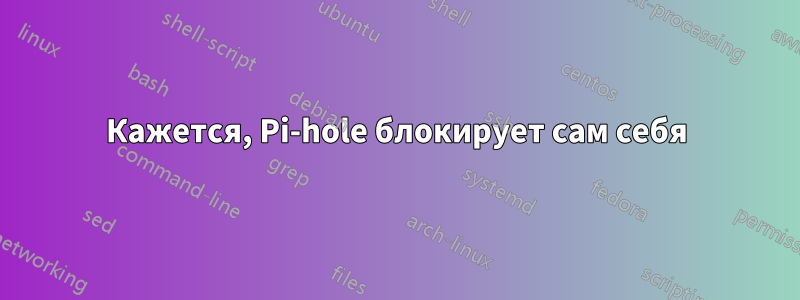 Кажется, Pi-hole блокирует сам себя
