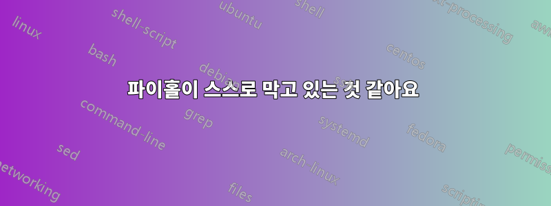 파이홀이 스스로 막고 있는 것 같아요