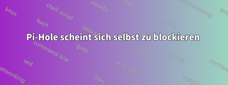 Pi-Hole scheint sich selbst zu blockieren