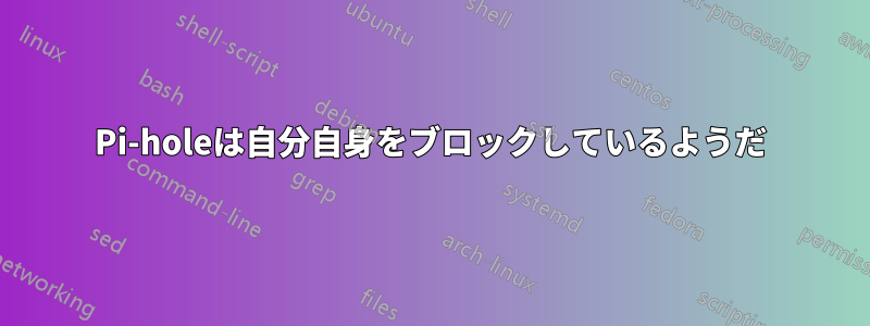 Pi-holeは自分自身をブロックしているようだ