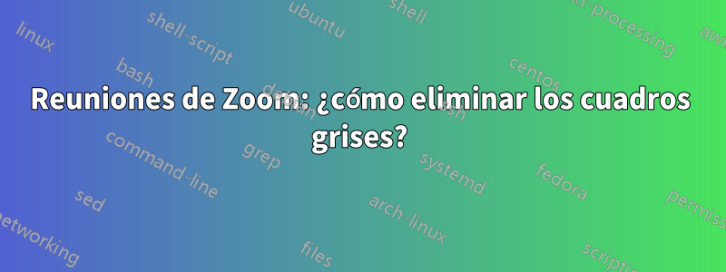 Reuniones de Zoom: ¿cómo eliminar los cuadros grises?