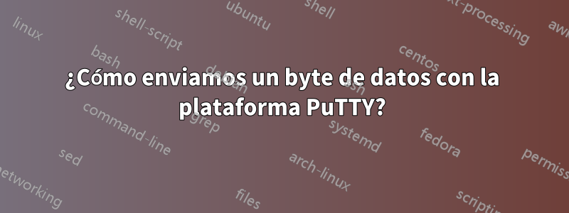 ¿Cómo enviamos un byte de datos con la plataforma PuTTY?