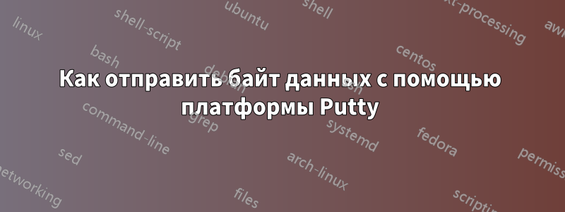 Как отправить байт данных с помощью платформы Putty