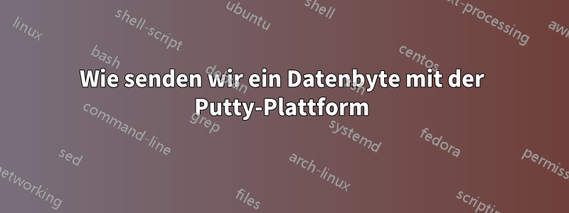 Wie senden wir ein Datenbyte mit der Putty-Plattform
