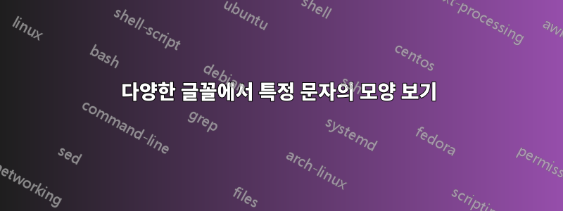 다양한 글꼴에서 특정 문자의 모양 보기