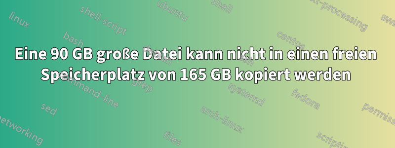 Eine 90 GB große Datei kann nicht in einen freien Speicherplatz von 165 GB kopiert werden