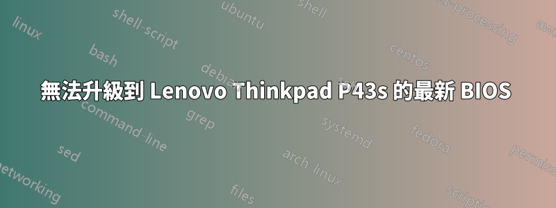 無法升級到 Lenovo Thinkpad P43s 的最新 BIOS