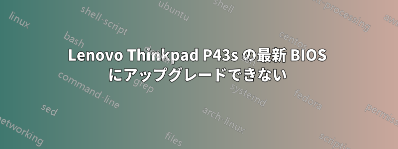Lenovo Thinkpad P43s の最新 BIOS にアップグレードできない