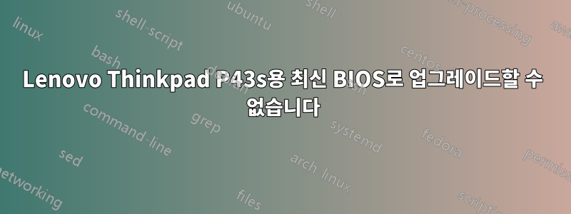 Lenovo Thinkpad P43s용 최신 BIOS로 업그레이드할 수 없습니다