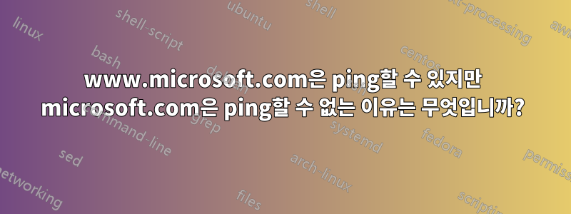 www.microsoft.com은 ping할 수 있지만 microsoft.com은 ping할 수 없는 이유는 무엇입니까?