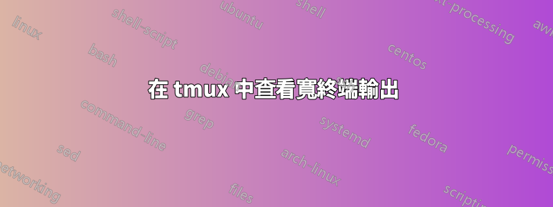 在 tmux 中查看寬終端輸出