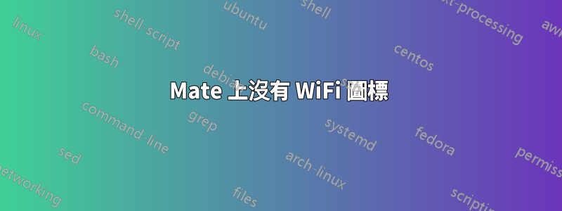 Mate 上沒有 WiFi 圖標
