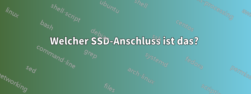 Welcher SSD-Anschluss ist das?