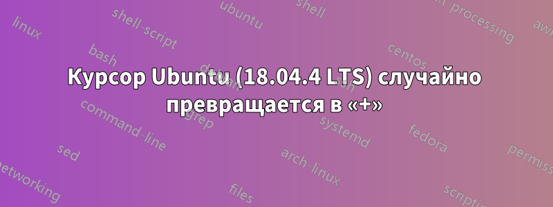 Курсор Ubuntu (18.04.4 LTS) случайно превращается в «+»