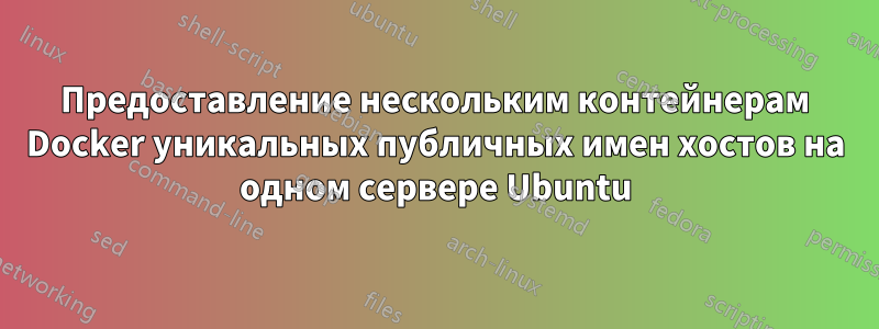 Предоставление нескольким контейнерам Docker уникальных публичных имен хостов на одном сервере Ubuntu