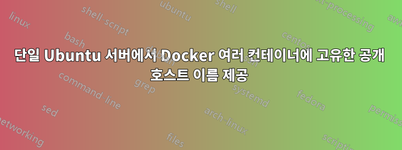 단일 Ubuntu 서버에서 Docker 여러 컨테이너에 고유한 공개 호스트 이름 제공