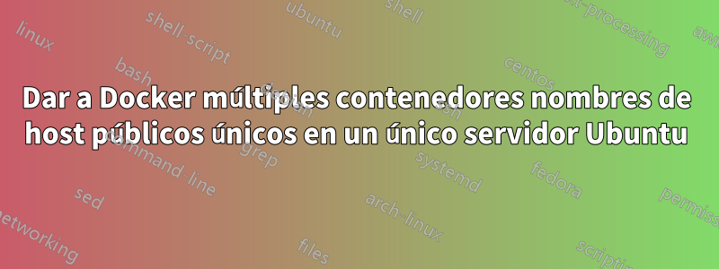 Dar a Docker múltiples contenedores nombres de host públicos únicos en un único servidor Ubuntu