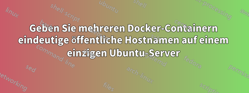 Geben Sie mehreren Docker-Containern eindeutige öffentliche Hostnamen auf einem einzigen Ubuntu-Server