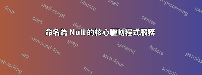 命名為 Null 的核心驅動程式服務