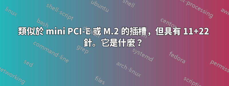 類似於 mini PCI-E 或 M.2 的插槽，但具有 11+22 針。它是什麼？