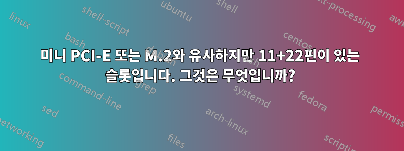 미니 PCI-E 또는 M.2와 유사하지만 11+22핀이 있는 슬롯입니다. 그것은 무엇입니까?