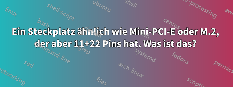 Ein Steckplatz ähnlich wie Mini-PCI-E oder M.2, der aber 11+22 Pins hat. Was ist das?