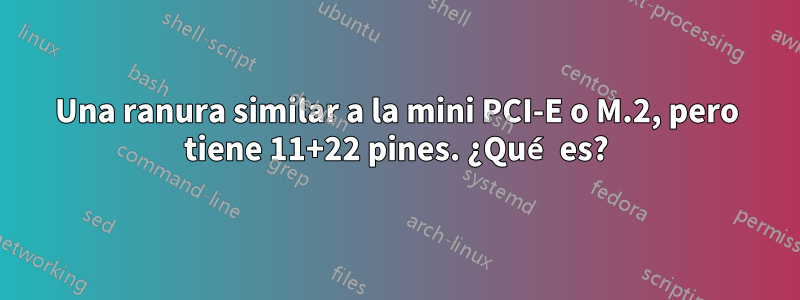 Una ranura similar a la mini PCI-E o M.2, pero tiene 11+22 pines. ¿Qué es?