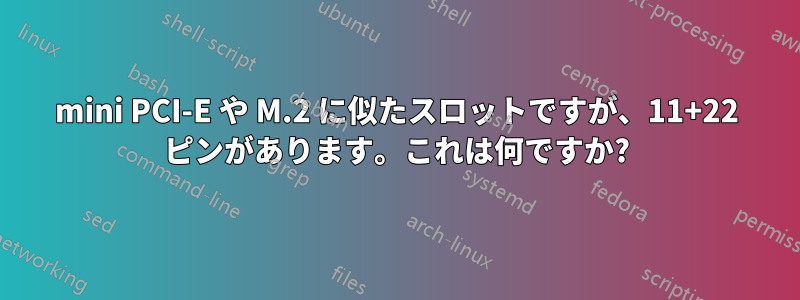 mini PCI-E や M.2 に似たスロットですが、11+22 ピンがあります。これは何ですか?