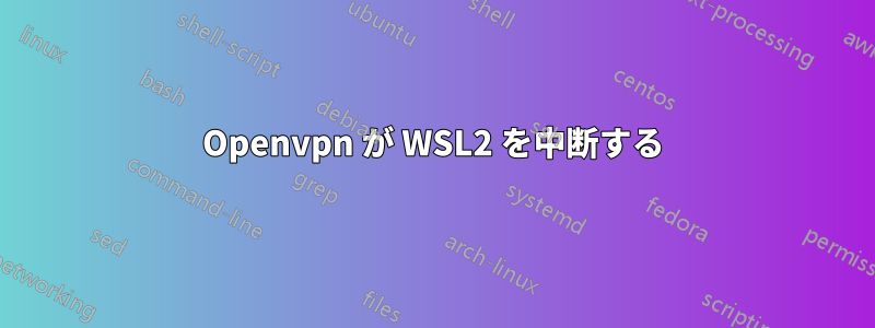 Openvpn が WSL2 を中断する