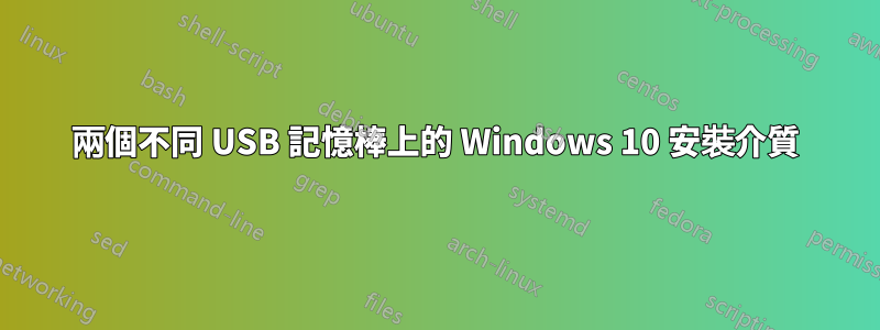 兩個不同 USB 記憶棒上的 Windows 10 安裝介質