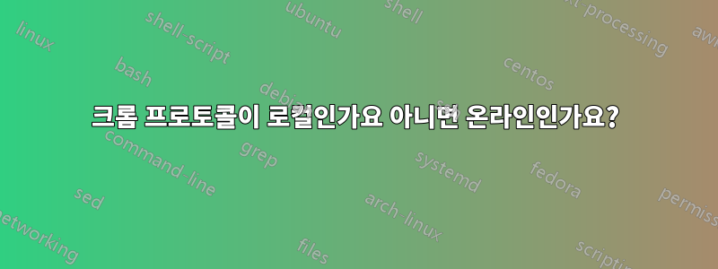 크롬 프로토콜이 로컬인가요 아니면 온라인인가요?