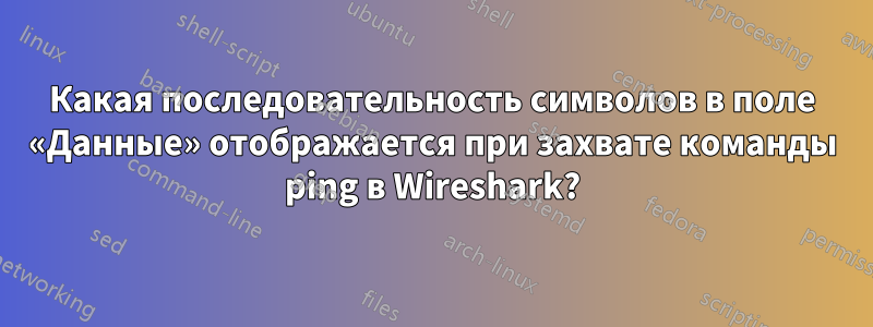 Какая последовательность символов в поле «Данные» отображается при захвате команды ping в Wireshark?