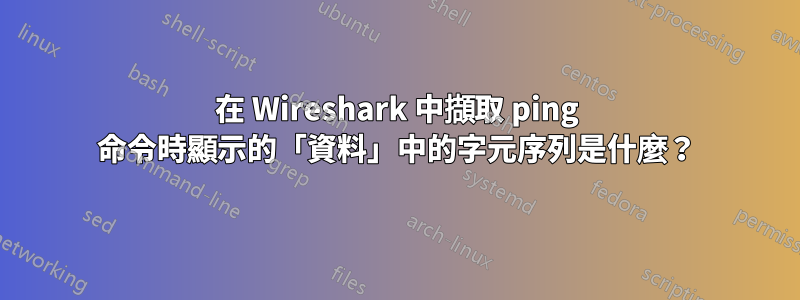 在 Wireshark 中擷取 ping 命令時顯示的「資料」中的字元序列是什麼？