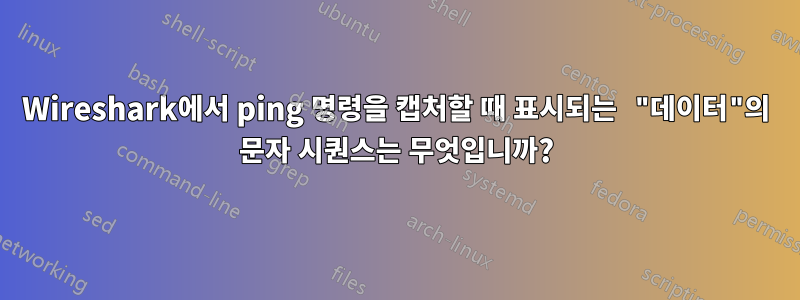 Wireshark에서 ping 명령을 캡처할 때 표시되는 "데이터"의 문자 시퀀스는 무엇입니까?