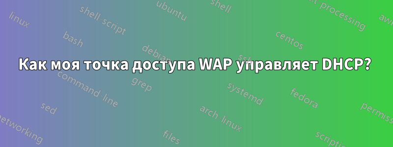 Как моя точка доступа WAP управляет DHCP?