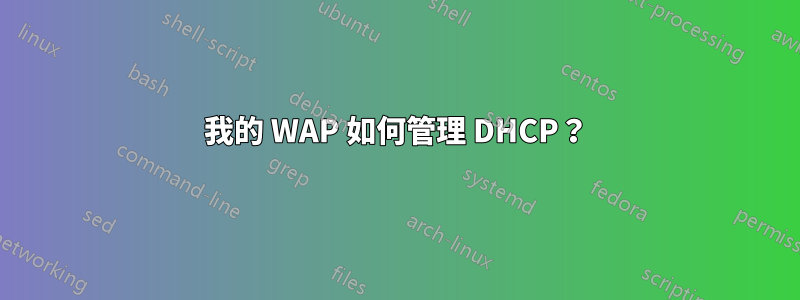 我的 WAP 如何管理 DHCP？