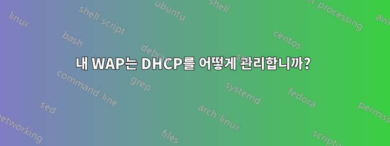 내 WAP는 DHCP를 어떻게 관리합니까?