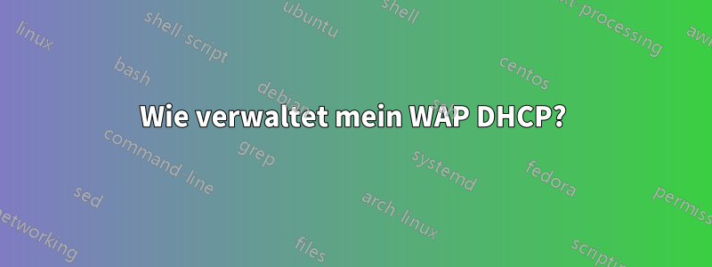 Wie verwaltet mein WAP DHCP?