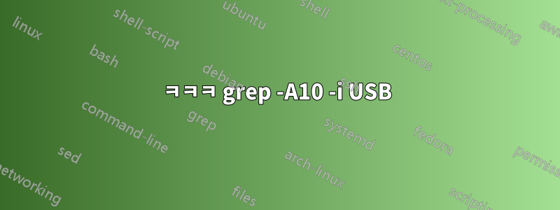 ㅋㅋㅋ grep -A10 -i USB