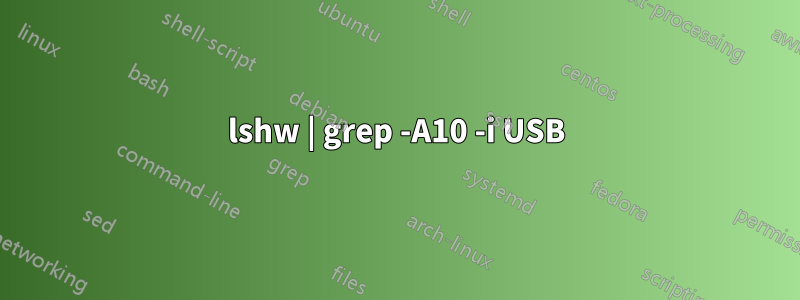 lshw | grep -A10 -i USB