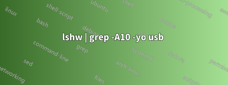 lshw | grep -A10 -yo usb