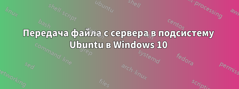 Передача файла с сервера в подсистему Ubuntu в Windows 10