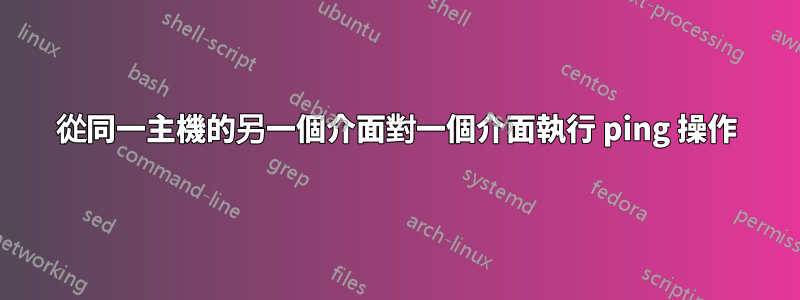 從同一主機的另一個介面對一個介面執行 ping 操作