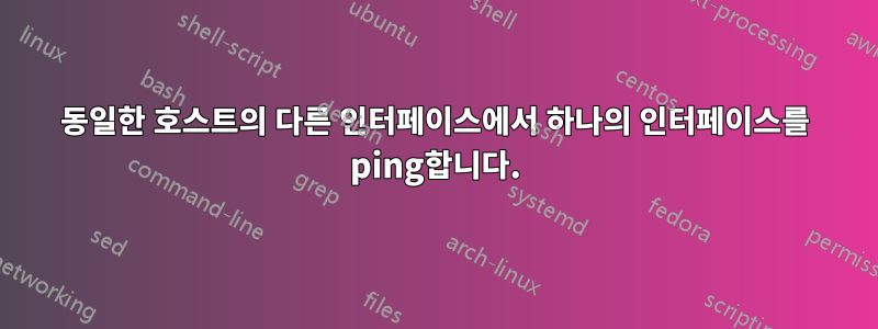 동일한 호스트의 다른 인터페이스에서 하나의 인터페이스를 ping합니다.