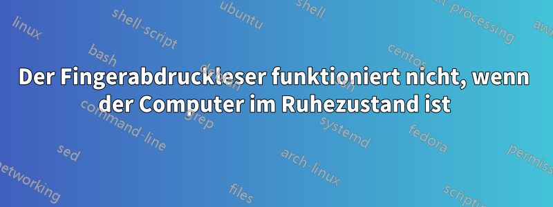 Der Fingerabdruckleser funktioniert nicht, wenn der Computer im Ruhezustand ist