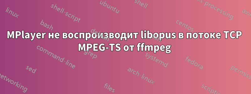 MPlayer не воспроизводит libopus в потоке TCP MPEG-TS от ffmpeg