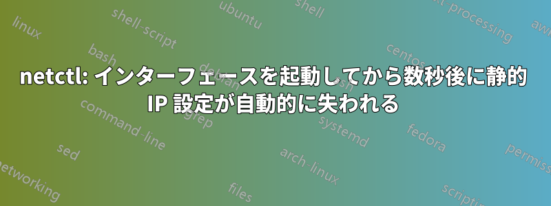 netctl: インターフェースを起動してから数秒後に静的 IP 設定が自動的に失われる